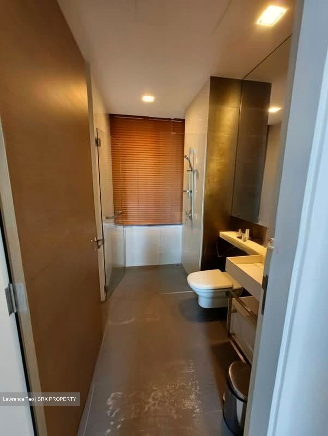 The Trizon (D10), Condominium #559898771